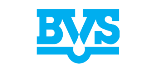 logo BVS